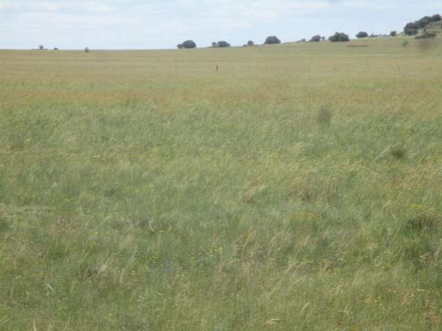 1 Bedroom Property for Sale in Bloemfontein Rural Free State